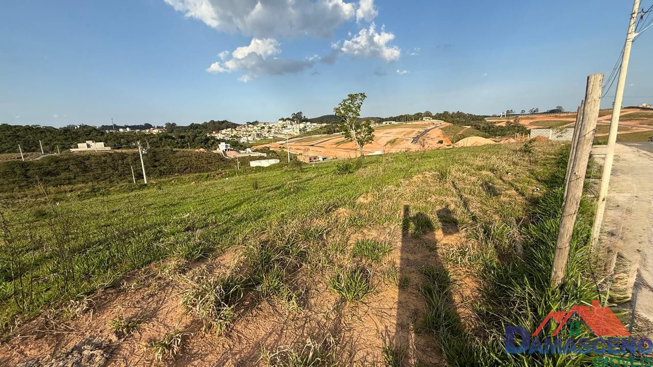 WhatsApp Image 2025-10-17 at 16.39.23 (1)