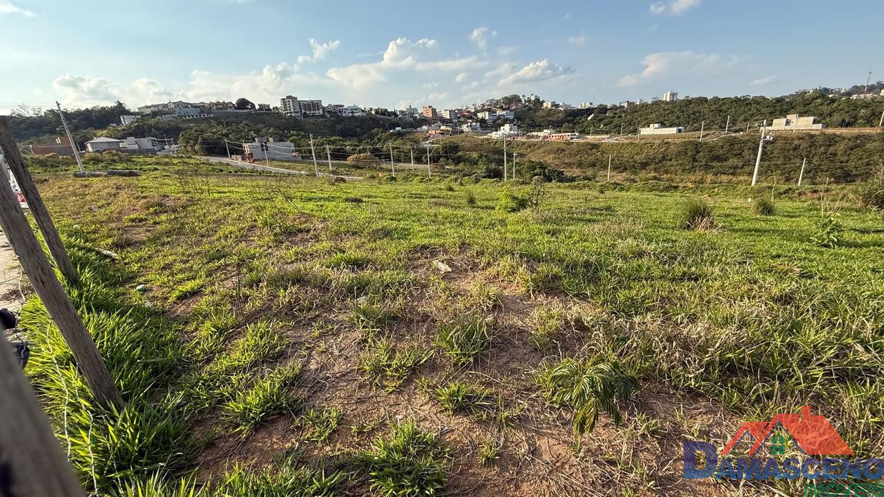 WhatsApp Image 2025-10-17 at 16.40.19