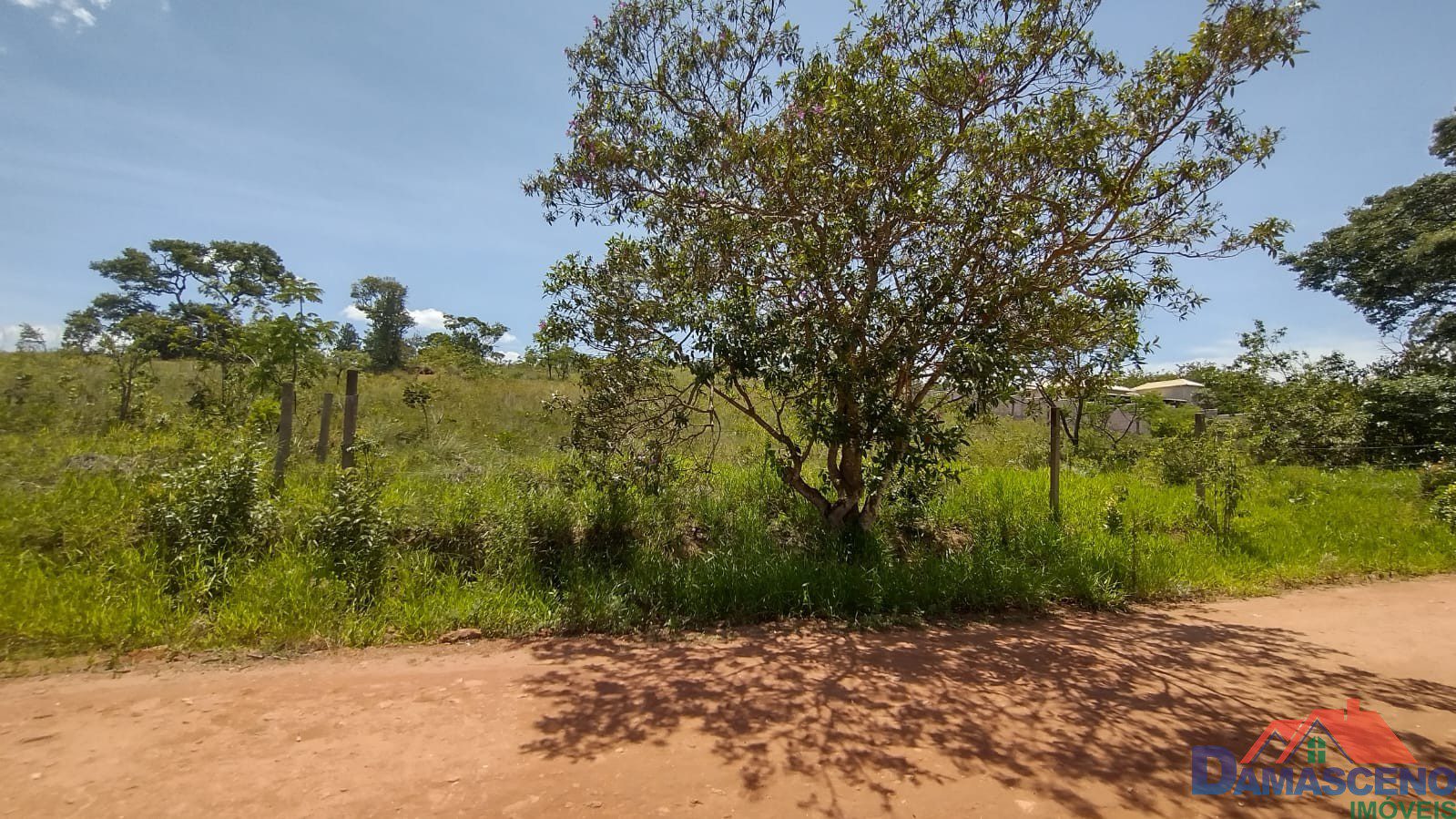 WhatsApp Image 2025-12-12 at 13.05.27 (1)