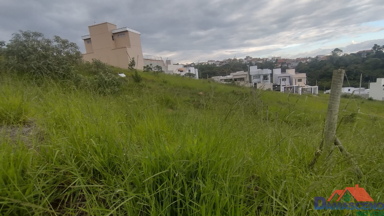 WhatsApp Image 2026-01-27 at 13.03.19 (4)