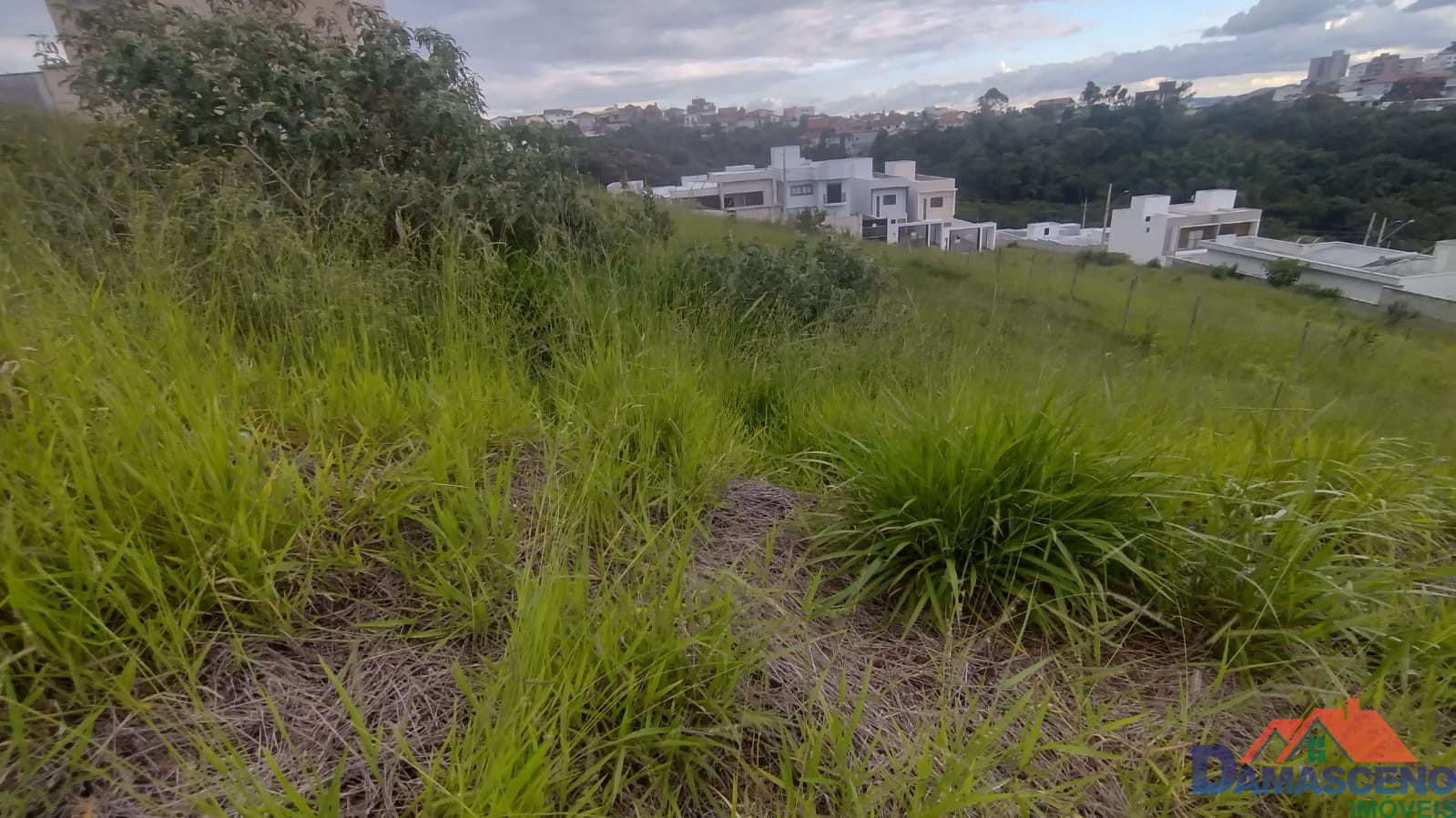 WhatsApp Image 2026-01-27 at 13.03.20