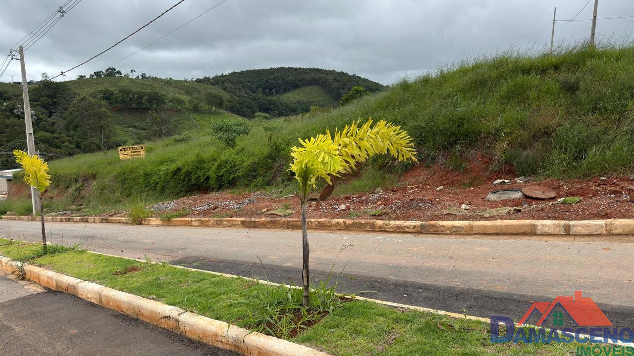 WhatsApp Image 2026-01-28 at 15.18.34 (3)